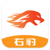 右豹