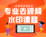 专业去视频水印教程 静态水印、动态水印、文字水印、图片水印一套教程通通搞定-沐风资源库