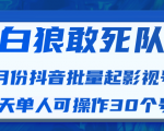 白狼敢死队最新抖音短视频批量起影视号（一天单人可操作30个号）视频课程-沐风资源库
