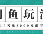 龟课·闲鱼项目玩法实战班第12期，操作10天左右利润有8000元细节玩法-沐风资源库