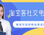 某站内部课程：淘宝客社交电商裂变，精准引流和粉丝裂变模式详解（共6节视频）-沐风资源库