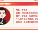 黄岛主72期分享会！谢银龙：b站视频精准引流与变现大解析（视频+图片）-沐风资源库