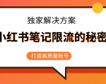 小红书笔记限流的秘密，被限流的笔记独家解决方案，打造高质量账号（共3节视频）-沐风资源库