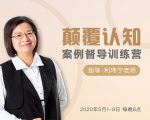 颠覆认知，案例督导训练营：打破旧模式 引领新思维-沐风资源库