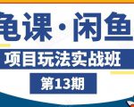 龟课·闲鱼项目玩法实战班第13期，轻松玩转闲鱼，多渠道多方法引流到私域流量池-沐风资源库