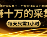 年赚十万的采集站，每天却只需要1小时，一年时间采集出一个售价10W以上的网站-沐风资源库