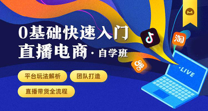 0基础快速入门直播电商课程：直播平台玩法解析-团队打造-带货全流程等环节-沐风资源库