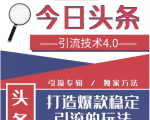 今日头条引流技术4.0，微头条实战细节，微头条引流核心技巧分析，快速发布引流玩法-沐风资源库