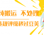 抖音纯搬运 不处理 小技巧，30秒发一个作品，避免违规评级秒过豆荚-沐风资源库