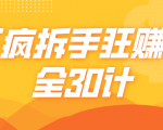 三疯拆手狂赚计，全30计课程-沐风资源库