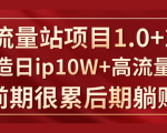 《大流量站项目1.0+2.0》打造日IP10W+高流量站，前期很累后期躺赚-沐风资源库