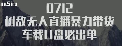 树敌‮习研‬社抖音无人直播暴力带货车载U盘必出单，单号单日产出300纯利润-沐风资源库