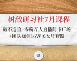树敌研习社7月课程：破不适宜+零粉万人直播间卡广场+团队赚佣16W美女号套路-沐风资源库