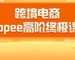 2020跨境电商蓝海新机会-SHOPEE大卖特训营：高阶终极课程（16节课）-沐风资源库