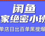 火焱社闲鱼独家绝密小班课-闲鱼单店日出百单黑搜爆破法-沐风资源库