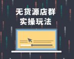 无货源店群实操玩法，蓝海选品的独特思路，店群软件操作方法（45节视频课）-沐风资源库