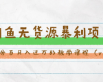 斜杠蜻蜓·闲鱼无货源暴利项目：让你百分百月入过万的教学课程（v1-v5班）-沐风资源库