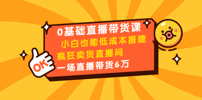 0基础直播带货课：小白也能低成本搭建疯狂卖货直播间：1场直播带货6万-沐风资源库