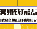 淘客赚钱玩法2.0，阳光绿色超正规项目，月躺赚2W+【视频课程】-沐风资源库