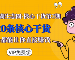 莫问江湖生态圈·核心干货第2期，20条核心干货，每一条都能让你直接赚钱-沐风资源库
