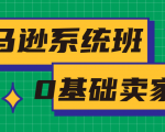 亚马逊系统班，专为0基础卖家量身打造，亚马逊运营流程与架构-沐风资源库
