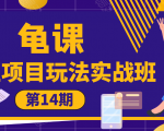 龟课·闲鱼项目玩法实战班第14期，批量细节玩法，一个月收益几万-沐风资源库