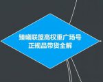 臻曦联盟抖音高权重广场号无人直播正规品带货全解-沐风资源库