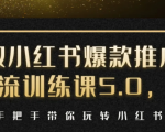 小红书爆款推广引流训练课5.0，手把手带你玩转小红书（17节实操视频+话术）-沐风资源库
