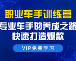 职业车手训练营：专业车手的养成之路，快速打造爆款（8节-无水印直播课）-沐风资源库
