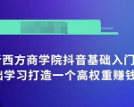 抖音基础入门班：小白0基础学习打造一个高权重赚钱的抖音号-沐风资源库