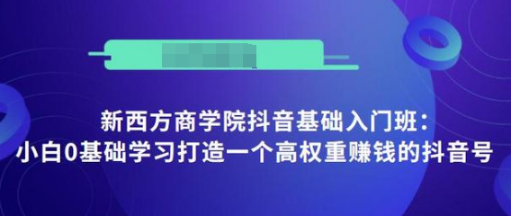 抖音基础入门班：小白0基础学习打造一个高权重赚钱的抖音号-沐风资源库