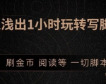 引流脚本实战课：1小时深入浅出视频实操讲解，教你0基础学会写引流脚本-沐风资源库