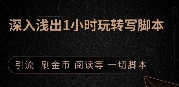 引流脚本实战课：1小时深入浅出视频实操讲解，教你0基础学会写引流脚本-沐风资源库
