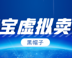 黑帽子淘宝虚拟卖货项目，单店每月收入5000+-沐风资源库