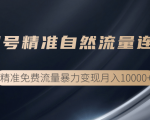 垂直起号精准自然流量连爆玩法，精准引流暴力变现月入10000+-沐风资源库