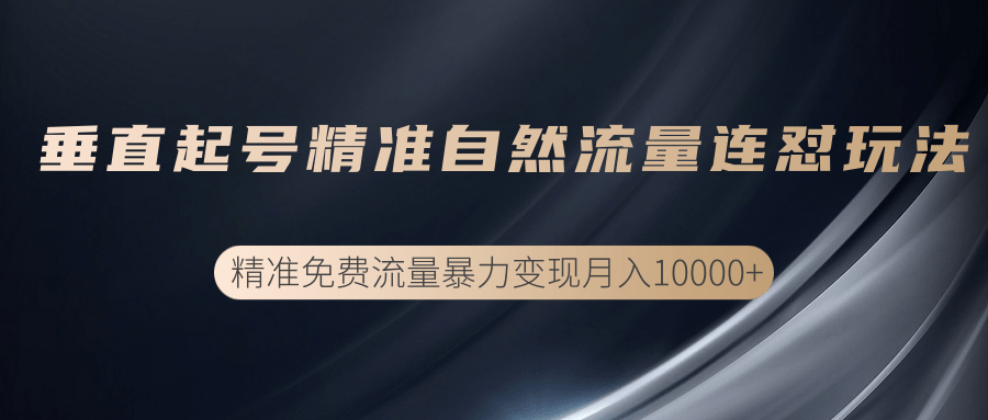垂直起号精准自然流量连爆玩法，精准引流暴力变现月入10000+-沐风资源库