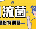 引流菌2020全网爆粉特训营（QQ群霸屏，知乎引流，群裂变，自动化引流等）-沐风资源库