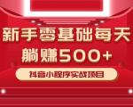 最新小白赚钱项目，零基础每天躺赚500+抖音小程序实战项目-沐风资源库
