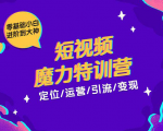 零基础小白进阶到大神《短视频魔力特训营》定位-运营-引流-变现-沐风资源库