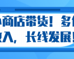 微信小商店带货，爆单多倍收入，长期复利循环！日赚300-800元不等-沐风资源库