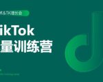 2020最新TikTok流量增长训练营（完结）附PPT-沐风资源库