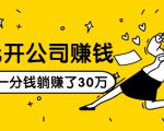 0元开公司赚钱，不花一分钱几天躺赚了30多万，详细操作流程！-沐风资源库