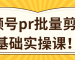 视频号PR批量剪辑0基础实操课，PR批量处理伪原创一分钟一个视频【共2节】-沐风资源库