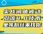 实战闲鱼被动引流4.0技术，坐等粉丝来找你，实操演示日加200+精准粉-沐风资源库