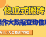 搬砖操作大数据查询信用项目赚钱教程，祝你快速月入6万-沐风资源库
