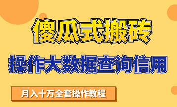 搬砖操作大数据查询信用项目赚钱教程，祝你快速月入6万-沐风资源库