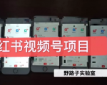 野路子小红书视频号1.0项目，直接上手操作就能赚钱的视频号项目-沐风资源库