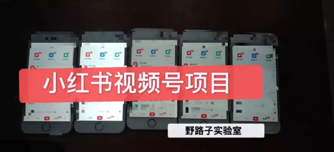 野路子小红书视频号1.0项目，直接上手操作就能赚钱的视频号项目-沐风资源库
