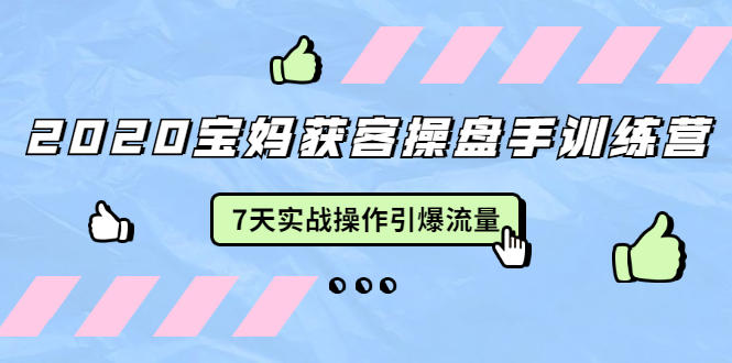 2020宝妈获客操盘手训练营：7天实战操作引爆 母婴、都市、购物宝妈流量-沐风资源库
