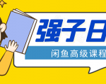 闲鱼高级课程：单号一个月一万左右 有基础的，批量玩的5万-10万都不是难事-沐风资源库